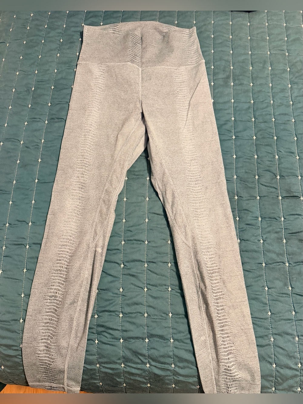 Seamless High-Waist Leggings in Light Gray